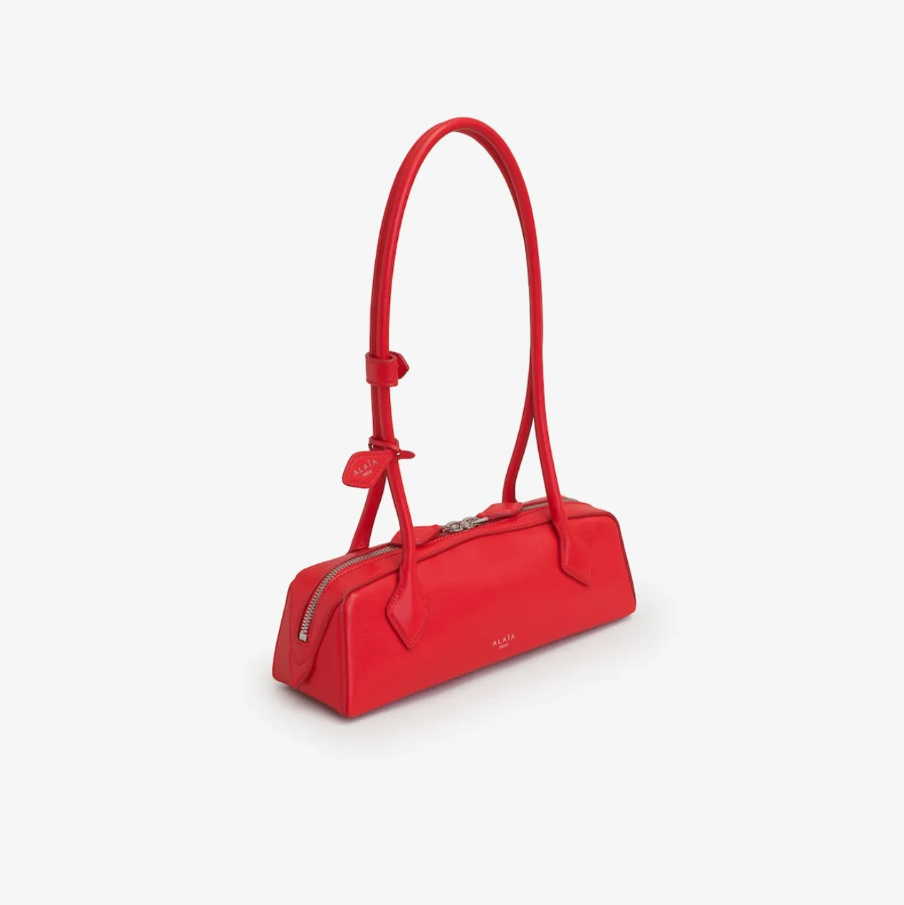 LE TECKEL MEDIUM BAG IN GOATSKIN - RED