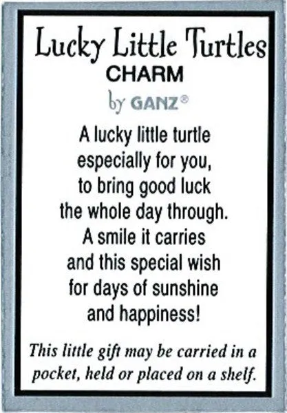 Lucky Little Turtle Charm Pocket Token