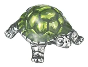 Lucky Little Turtle Charm Pocket Token